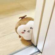 ヒメ日記 2025/05/26 10:42 投稿 みあ 奥様さくら難波店