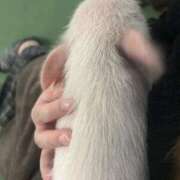 ヒメ日記 2026/01/24 10:31 投稿 みあ 奥様さくら難波店