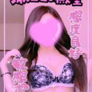 ヒメ日記 2025/04/06 03:47 投稿 ユメ(大奥) 奥様幕府