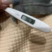 ヒメ日記 2025/07/06 11:17 投稿 ユメ(大奥) 奥様幕府