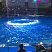 ヒメ日記 2025/04/06 09:05 投稿 もな セレブクエスト-omiya-