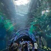 ヒメ日記 2025/06/11 12:09 投稿 もな セレブクエスト-omiya-