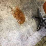 ヒメ日記 2025/06/24 19:09 投稿 もな セレブクエスト-omiya-