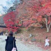 ヒメ日記 2025/11/16 12:12 投稿 もな セレブクエスト-omiya-