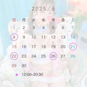 ヒメ日記 2025/06/01 16:49 投稿 天内 かのか カサノヴァ