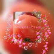 ヒメ日記 2025/04/01 10:02 投稿 栗山千夏(くりやまちなつ) 五十路マダムエクスプレス厚木店(カサブランカグループ)