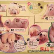 栗山千夏(くりやまちなつ) オタクな千夏 五十路マダムエクスプレス厚木店(カサブランカグループ)