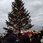 ヒメ日記 2025/12/18 10:51 投稿 まほ モアグループ 土浦人妻花壇