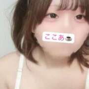 ヒメ日記 2025/04/01 12:01 投稿 ここあ♡色白Fカップ♡体験 LUXURIA（ルクスリア）