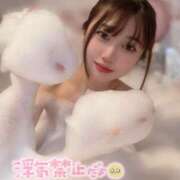 ヒメ日記 2025/04/05 06:00 投稿 そらね JAPAN CLUB BUNNY LOUNGE