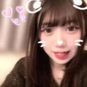 ヒメ日記 2025/04/05 17:31 投稿 そらね JAPAN CLUB BUNNY LOUNGE