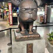 ヒメ日記 2025/05/31 08:03 投稿 てん・SP 西川口ティアラ