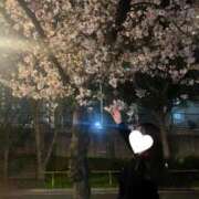 ヒメ日記 2025/04/08 17:07 投稿 のあ ごほうびSPA神戸店