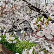 ヒメ日記 2025/04/08 07:00 投稿 東口　あおい 現役ナースが精液採取に伺います 梅田店