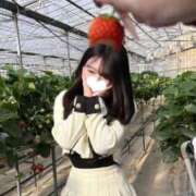 ヒメ日記 2025/04/12 18:08 投稿 ☆なのか☆ ◆プラウディア◆AAA級素人娘在籍店