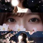 ヒメ日記 2026/03/22 11:08 投稿 ☆なのか☆ ◆プラウディア◆AAA級素人娘在籍店