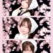 ヒメ日記 2026/03/24 12:18 投稿 ☆なのか☆ ◆プラウディア◆AAA級素人娘在籍店