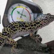 ヒメ日記 2025/05/03 17:22 投稿 みき 宮城♂風俗の神様 仙台店