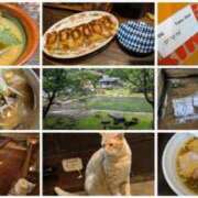 ヒメ日記 2025/07/03 16:19 投稿 みき 宮城♂風俗の神様 仙台店