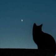 ヒメ日記 2025/07/29 02:12 投稿 みき 宮城♂風俗の神様 仙台店