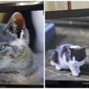 ヒメ日記 2025/07/29 03:52 投稿 みき 宮城♂風俗の神様 仙台店