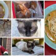 ヒメ日記 2025/07/31 18:22 投稿 みき 宮城♂風俗の神様 仙台店