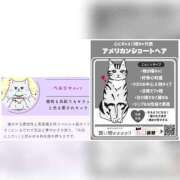 ヒメ日記 2025/08/08 18:02 投稿 みき 宮城♂風俗の神様 仙台店