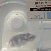 ヒメ日記 2025/08/13 00:26 投稿 みき 宮城♂風俗の神様 仙台店