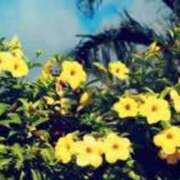 ヒメ日記 2025/08/23 01:22 投稿 みき 宮城♂風俗の神様 仙台店