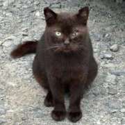 ヒメ日記 2025/08/24 02:42 投稿 みき 宮城♂風俗の神様 仙台店