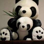 ヒメ日記 2025/09/26 17:33 投稿 みき 宮城♂風俗の神様 仙台店