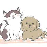 ヒメ日記 2025/09/28 12:42 投稿 みき 宮城♂風俗の神様 仙台店