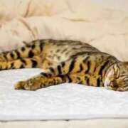 ヒメ日記 2025/10/13 14:42 投稿 みき 宮城♂風俗の神様 仙台店