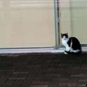 ヒメ日記 2025/10/17 02:42 投稿 みき 宮城♂風俗の神様 仙台店