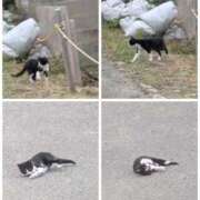 ヒメ日記 2025/10/19 16:22 投稿 みき 宮城♂風俗の神様 仙台店