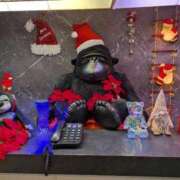 ヒメ日記 2025/11/14 15:32 投稿 みき 宮城♂風俗の神様 仙台店