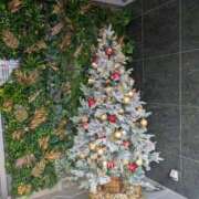 ヒメ日記 2025/11/23 13:45 投稿 みき 宮城♂風俗の神様 仙台店