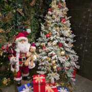 ヒメ日記 2025/12/12 02:52 投稿 みき 宮城♂風俗の神様 仙台店