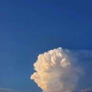 ヒメ日記 2025/09/08 21:14 投稿 おとは 元町奥さま