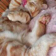 ヒメ日記 2025/09/20 08:14 投稿 おとは 元町奥さま