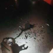 ヒメ日記 2025/09/29 20:44 投稿 おとは 元町奥さま