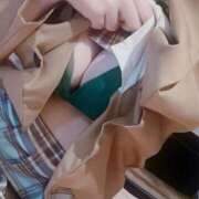 ヒメ日記 2025/05/01 18:13 投稿 うら ホワイトハウス