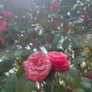 ヒメ日記 2025/05/09 16:39 投稿 うら ホワイトハウス