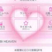 ヒメ日記 2025/05/12 19:28 投稿 うら ホワイトハウス