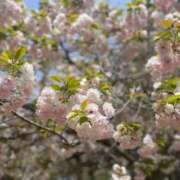 ヒメ日記 2025/06/21 22:21 投稿 うら ホワイトハウス