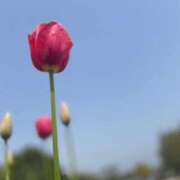 ヒメ日記 2025/09/17 22:21 投稿 うら ホワイトハウス