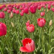 ヒメ日記 2025/10/15 17:54 投稿 うら ホワイトハウス