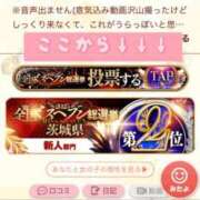 ヒメ日記 2025/11/22 21:01 投稿 うら ホワイトハウス