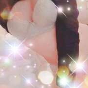 ヒメ日記 2025/04/01 11:26 投稿 あんず 小山人妻隊