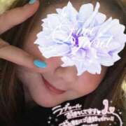 ヒメ日記 2025/04/29 15:20 投稿 ねいろ ちゃんこ大阪伊丹空港豊中店